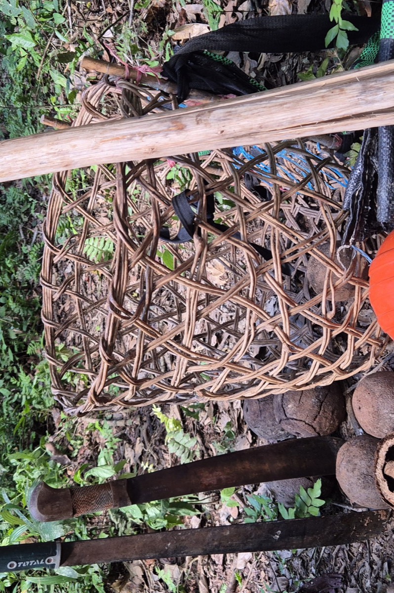 A woven harvest basket, machete and cracked castaña pods on the forest floor