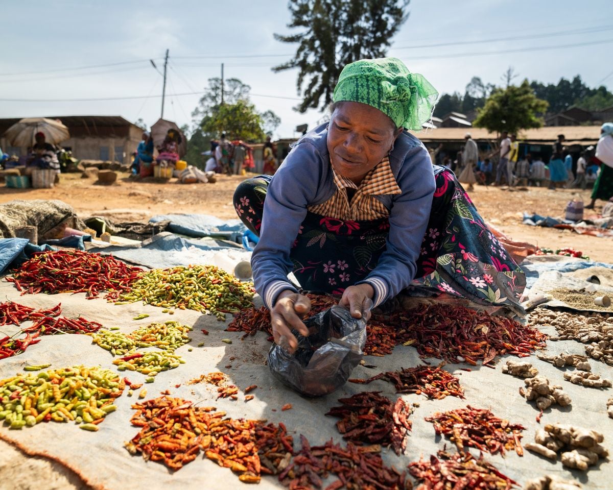 Sorting dried peppers on a market cloth