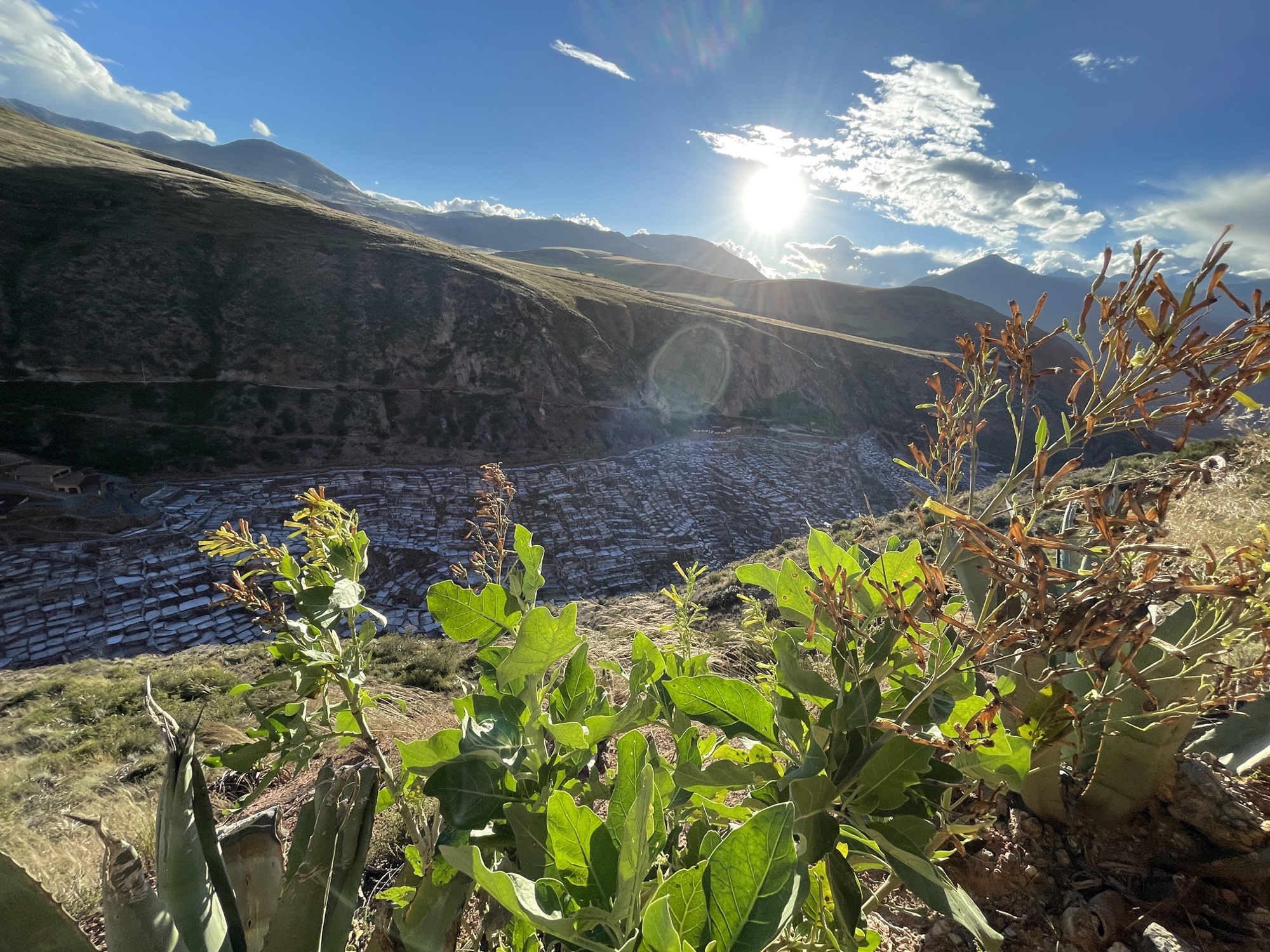 The Maras salt terraces from the ridge above