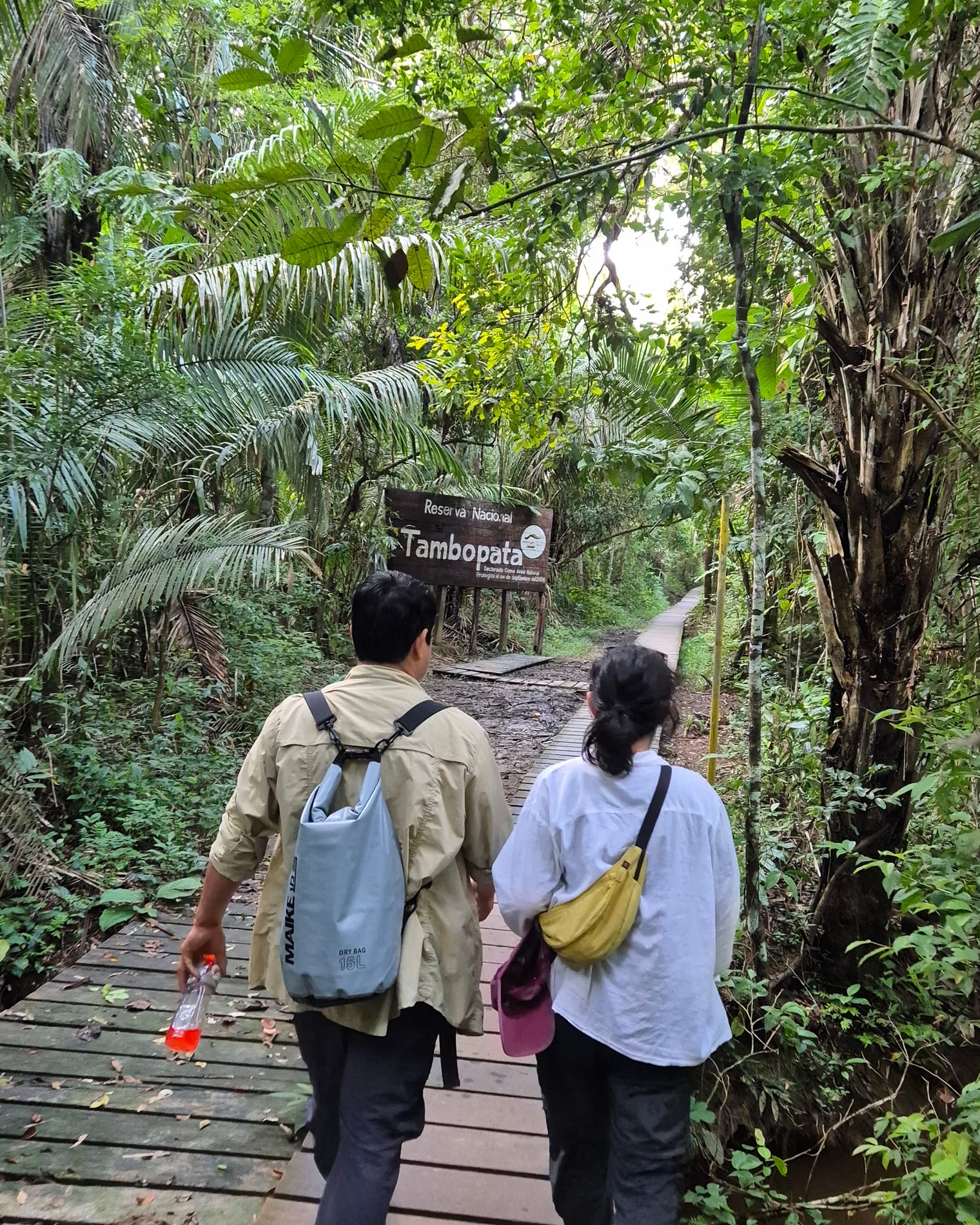 Walking the boardwalk into the forest toward Sandoval Lake